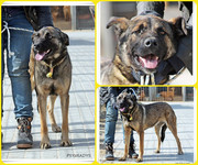 Be-Funky-collage-13.jpg&key=030579d6c813