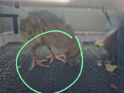 7a1134e8-72e2-42df-9afa-234a88efea72