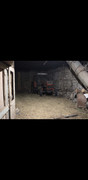 Screenshot-20260830-013403-Gallery
