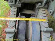 IMG-5101
