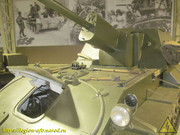 IMG-3623