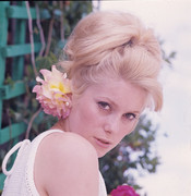 catherine-deneuve-me35