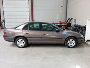 IMG_20250301_152044_632