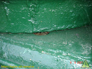 DSC00633