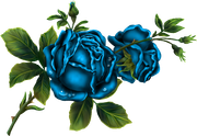 april-showers-SD-153