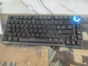 Whats App Image 2026 02 11 at 2 18 45 PM