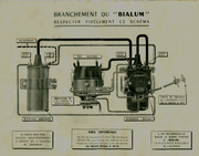BIALUM-3.jpg