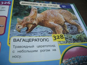 https://i.postimg.cc/G9XFFvy3/100-8118.jpg