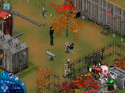 12 - ride that whale!