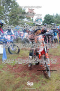 IMG-0019