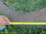 IMG-1418