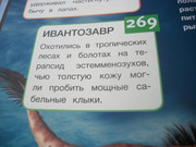 https://i.postimg.cc/G9dKJcgK/100-8106.jpg
