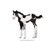 BCD32708-CE85-4AFA-A0A5-41A211F96DCF