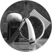 SOTD20241215_Vantastic1