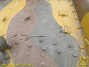 IMG-6586