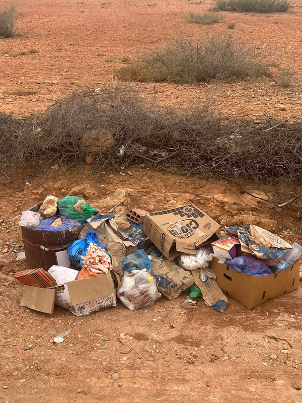 566493687_748251188240852_7801051805966606541_n (1)