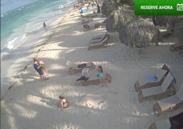 Algas (Sargazo) en playas de Punta Cana y Rep. Dominicana