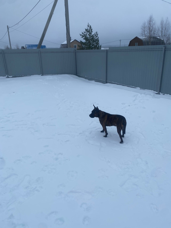 45EC8075-7293-4CD3-B10D-357DD9C54CDE