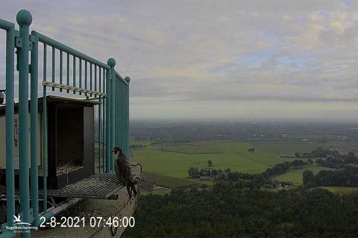 campics vanaf 1 juli © VWGGemert en bonusjes van ter plekke - Pagina 13 5