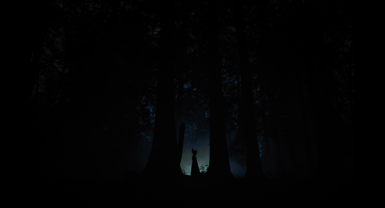 vlcsnap-2024-10-04-14h08m28s353.png