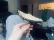 144CBF3E-DEBC-4F13-8979-6A7667067274