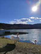 IMG-9f9072a320a8f941ee6ba96a00833d1c-V