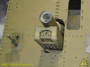 DSCN6782