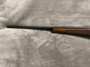 E40C11C0-CD25-4F34-8AB5-B0FE79C75902