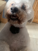 44CB7B24-0A0C-47FC-9219-601E5B0CCF33