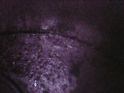 Photo_2025-06-05 23_11_18_157