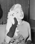 jayne-mansfield-g66