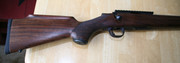 Cooper-facing-right-closeup-of-stock