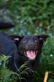 8C104F01-16BD-4811-B781-CCB04A0BA6EC