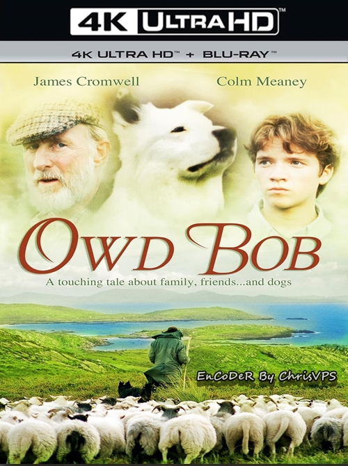 Owd Bob (1998) PL.HDR.2160p.WEB.DL.AC3-ChrisVPS / LEKTOR PL