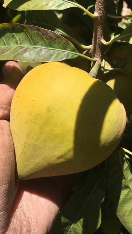 0E93A60D-0E8C-4096-9800-A2C35F3FCF29