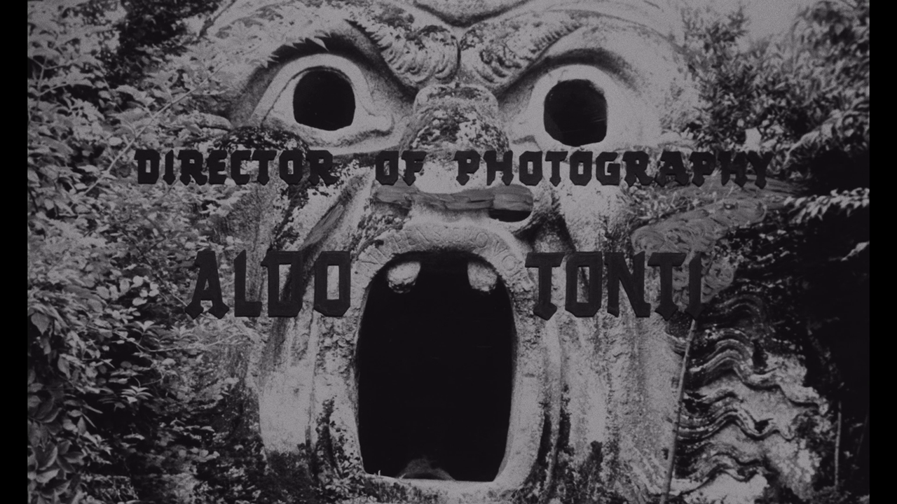 vlcsnap-2024-04-16-13h29m57s133