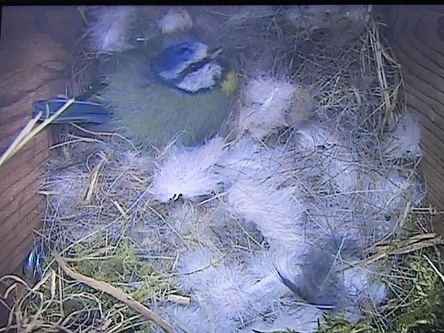 794775D3-77A0-4B0C-A233-70571F7F2D7B