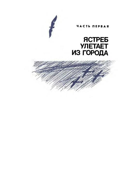 p0006