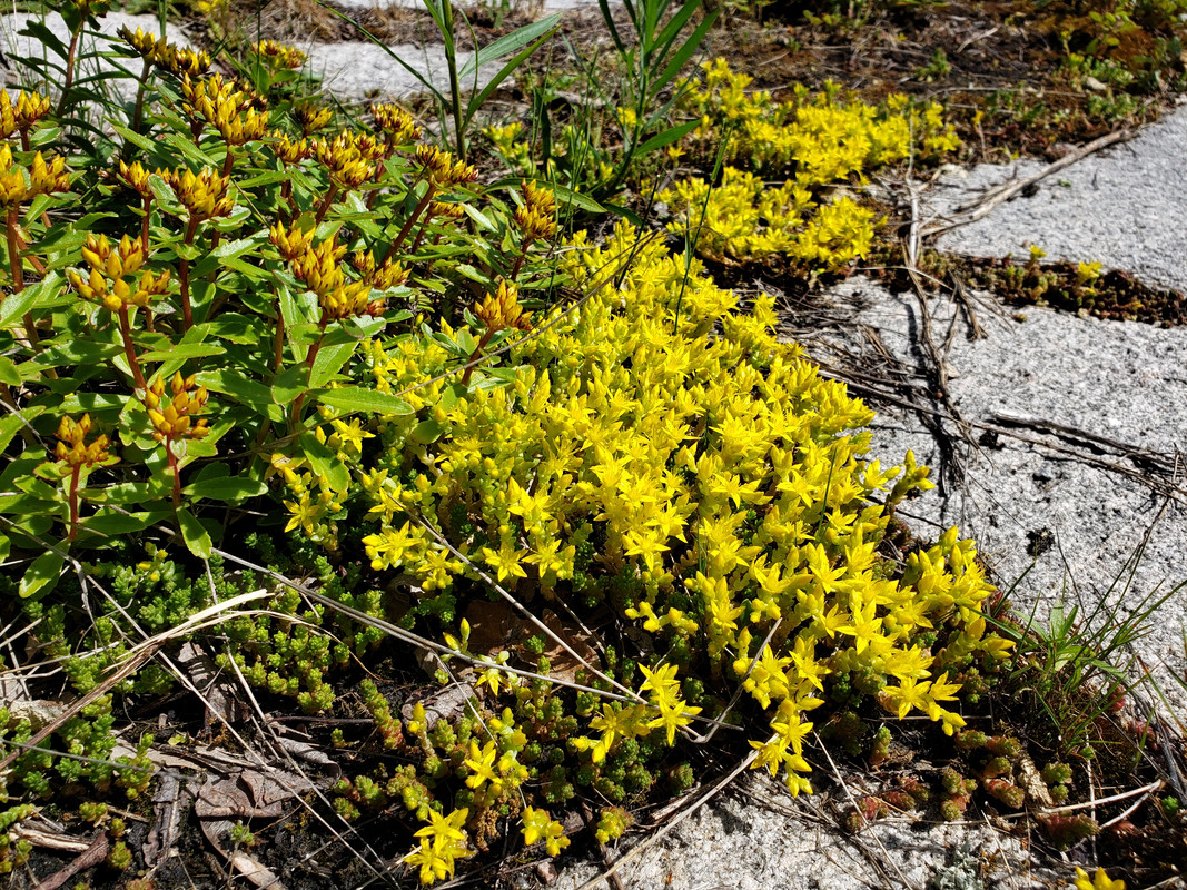 [Image: 20190623-113831.jpg]