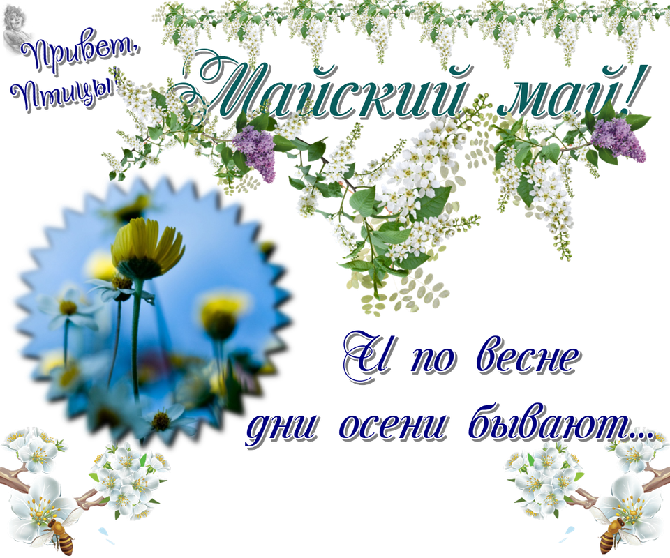https://i.postimg.cc/G9wspbxk/21-05.png