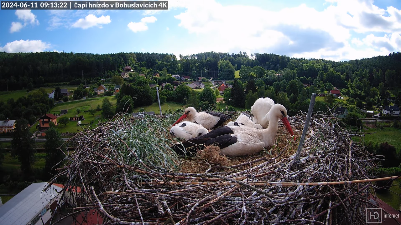 Tiešraidē no uzņēmuma KARA stārķa skursteņa Bohuslavicē pie Trutnovas 12-7-7 screenshot