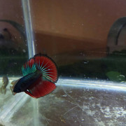 IMG_20190710_220340_439