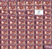 Chanel Santini - TS Superstar 06