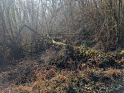 PXL 20260207 125849237