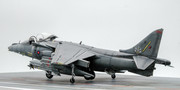 Harrier-2.jpg