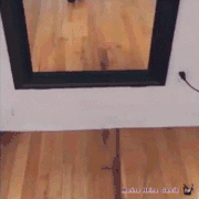 Gif Marina Reina García posing in the mirror with High Heels