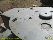 IMG-6531