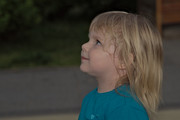 DSC07987