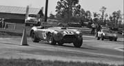  1964 International Championship for Makes 64seb12-Cobra-BBondurant-LSpencer