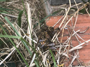 98C23F90-ED62-4724-BCCC-4E2B8E4AECB5